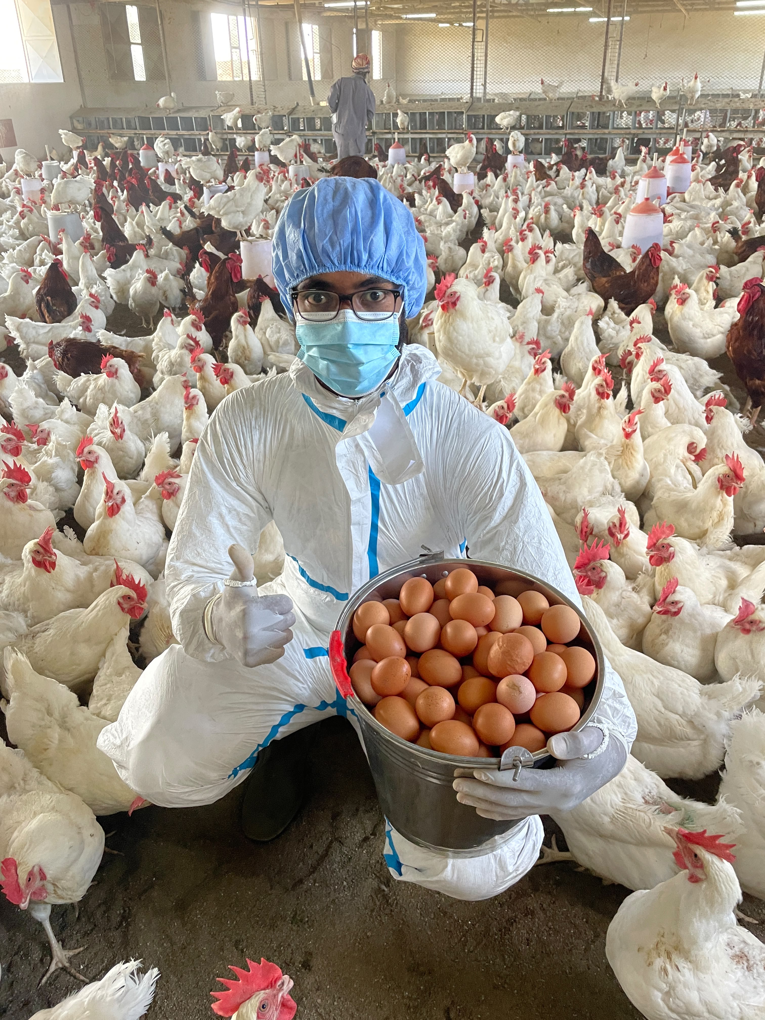 Poultry-farm worker in protective equipment holding a bucket of freshly collected eggs